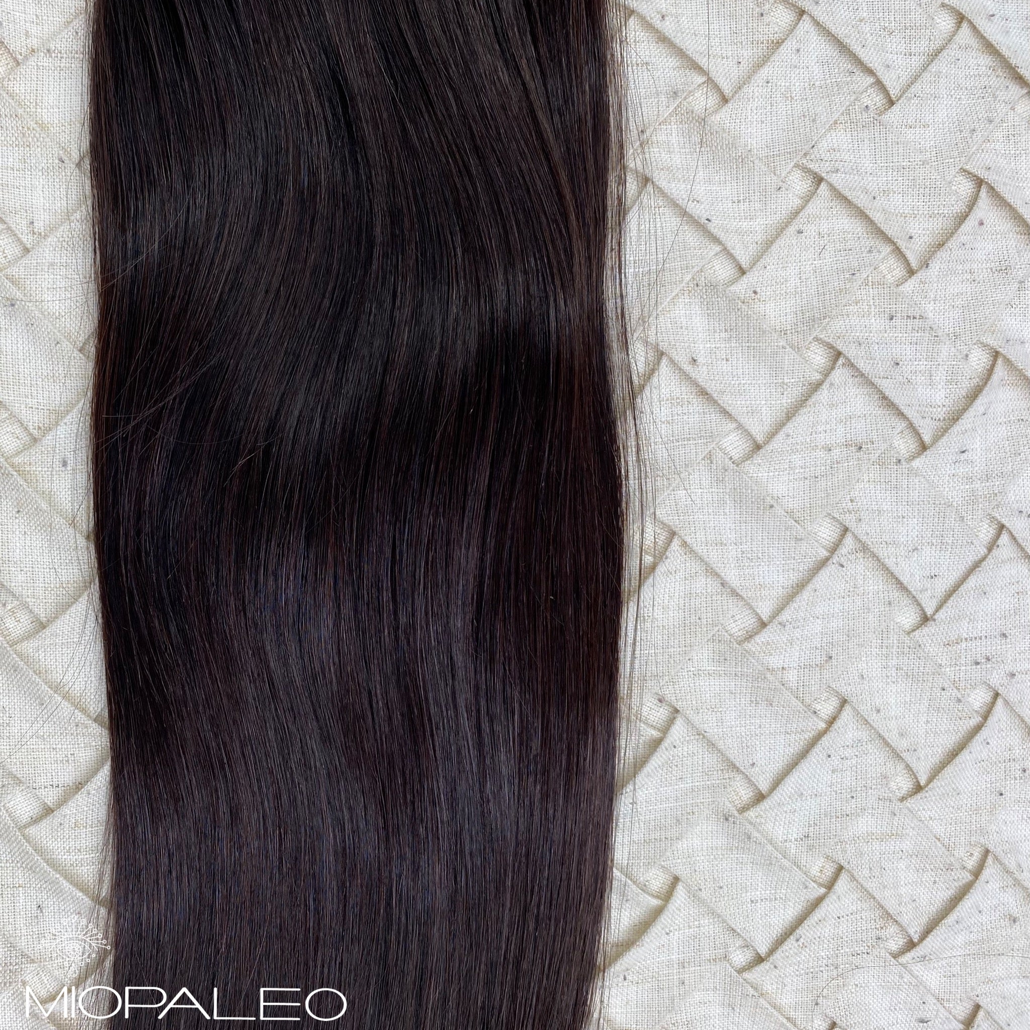 #2C – OfficialMiopaleo.com